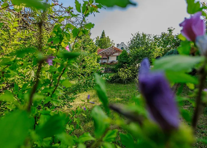 Liget Holiday home Pazmandfalu